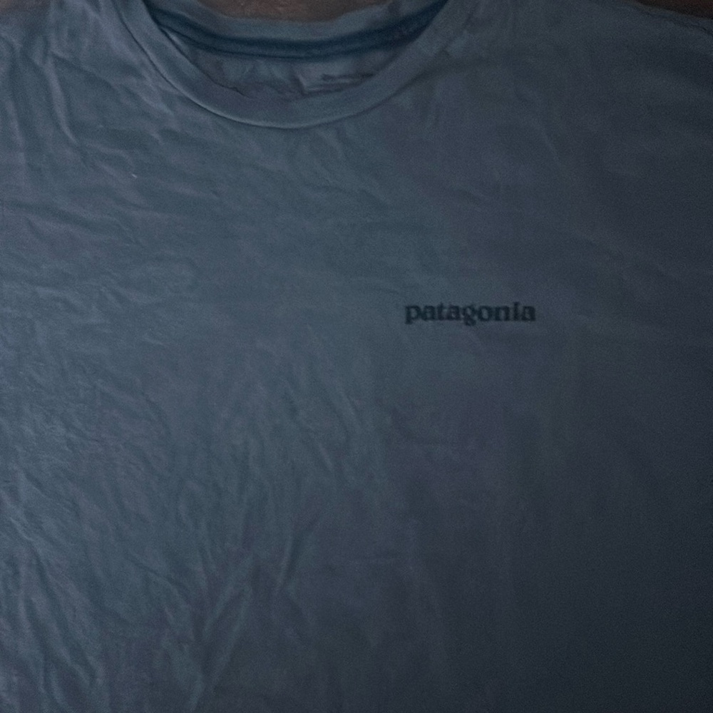 Patagonia size m t shirt gray